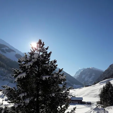 Oberhaidbachhof Apartment Mittersill