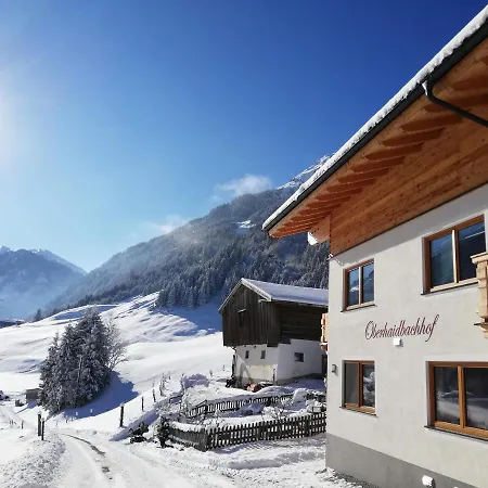Apartment Oberhaidbachhof Mittersill
