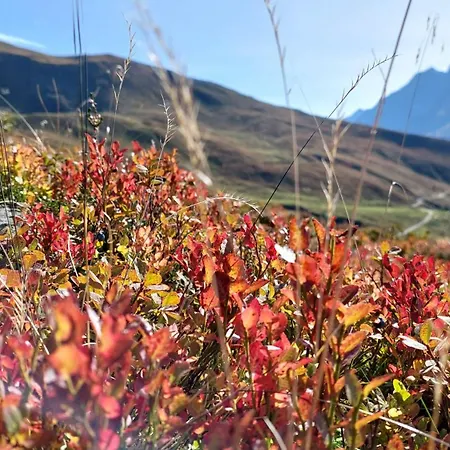 Apartment Oberhaidbachhof *