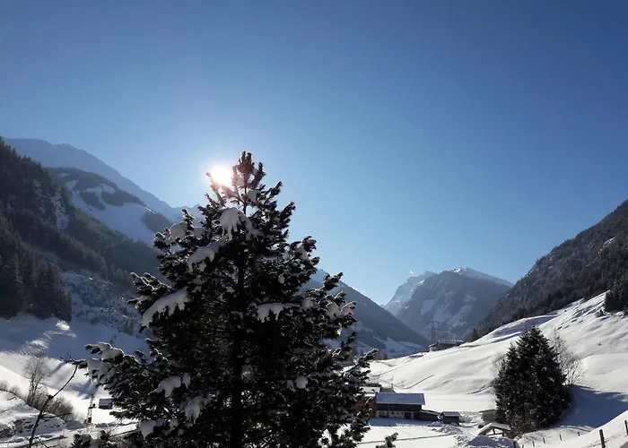 Oberhaidbachhof Apartament Mittersill