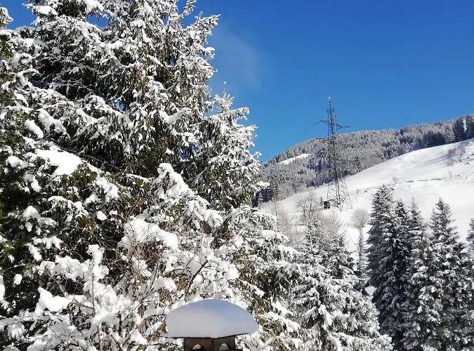 Appartement Oberhaidbachhof *