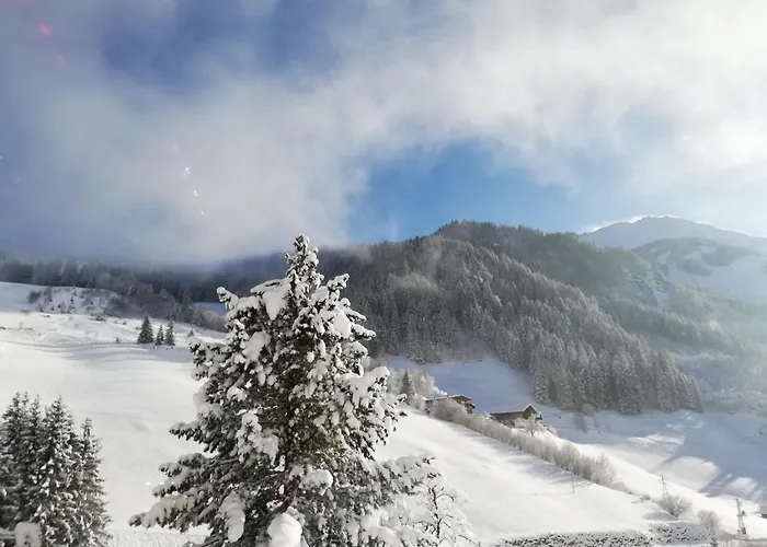 Apartament Oberhaidbachhof *