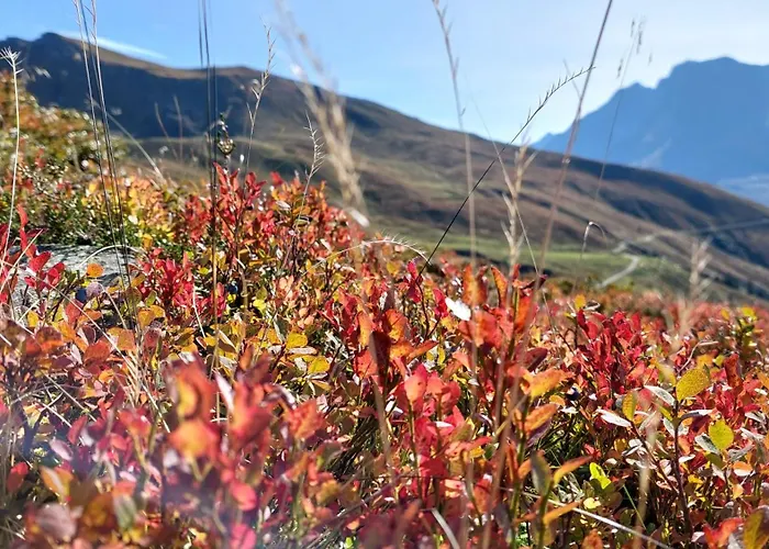 Appartement Oberhaidbachhof *