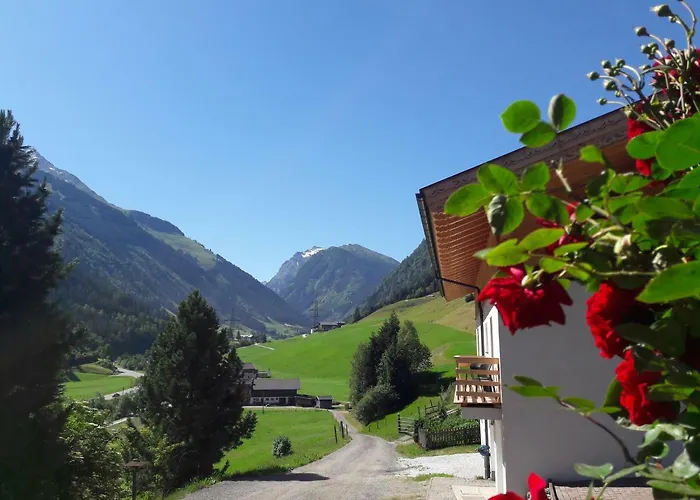 Oberhaidbachhof Daire Mittersill